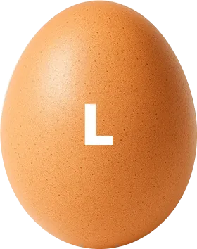 Large