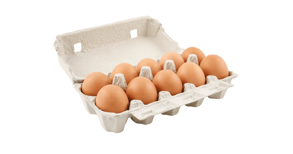 10-egg carton