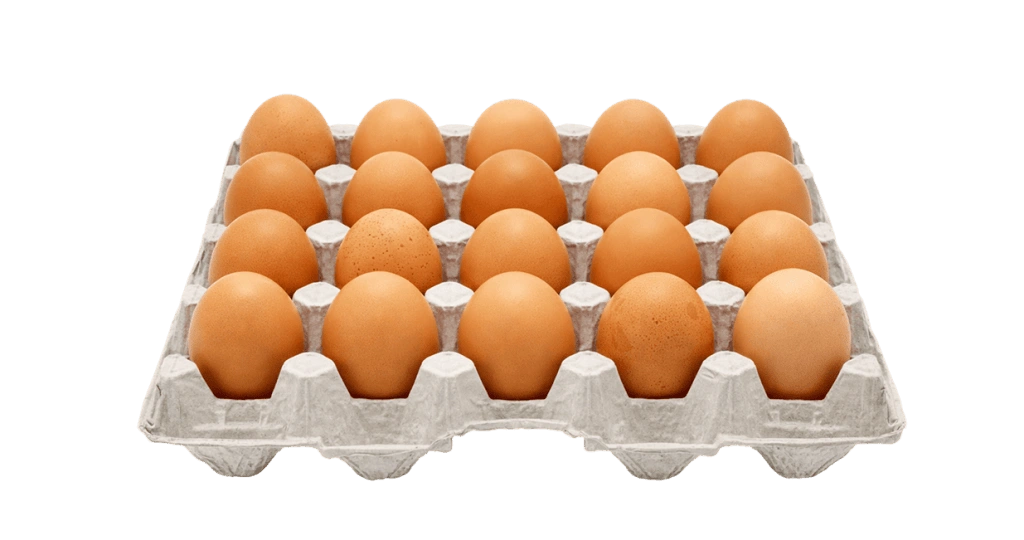 20-egg shrink pack