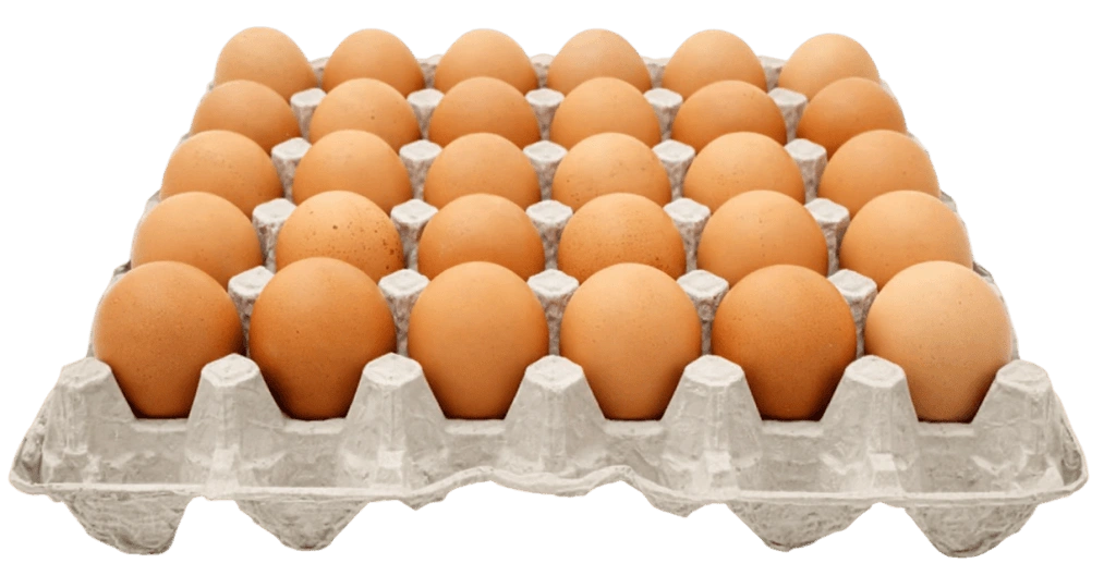 30-egg shrink pack